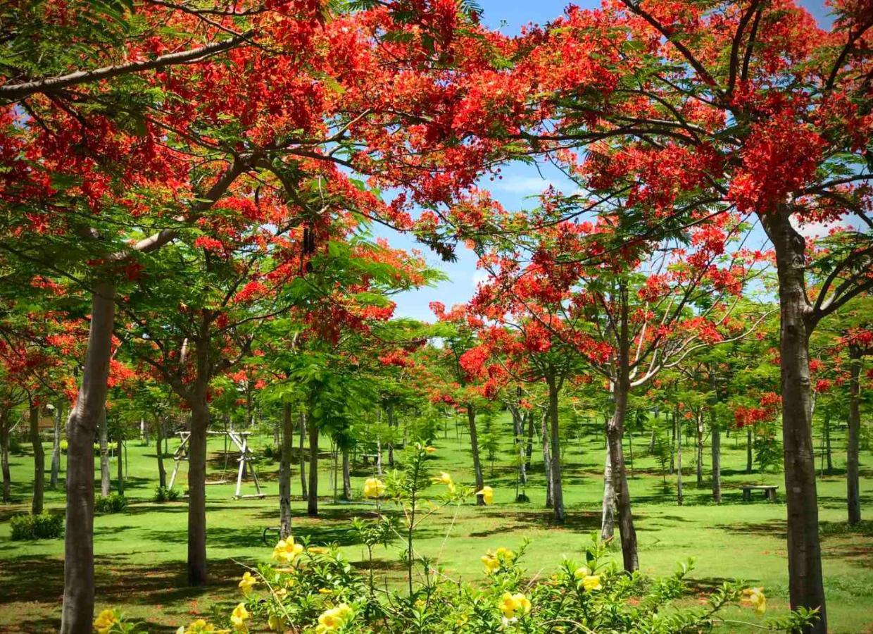 Ttc Resort - Doc Let Ấp Ninh Hòa  Екстериор снимка